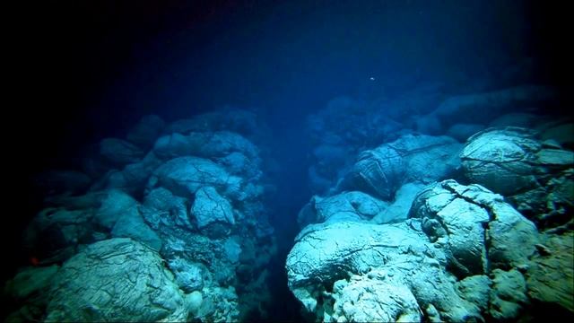 SCP-3301 The Foundation | object class safe смотреть онлайн