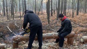 КАК ВЫЖИТЬ В ЗЕМЛЯНКЕ ЗИМОЙ/СНЕГОПАД В ЛЕСУ