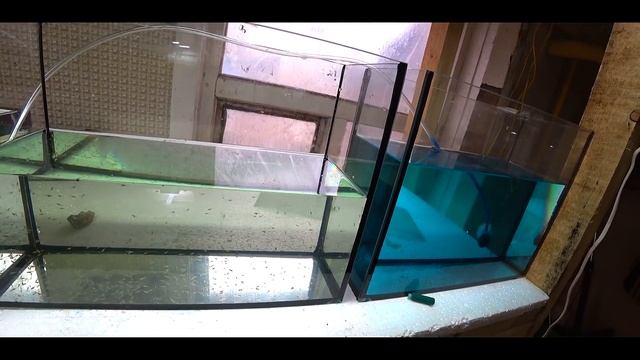 УБОРКА В НЕРЕСТОВИКЕ!!! смотреть онлайн