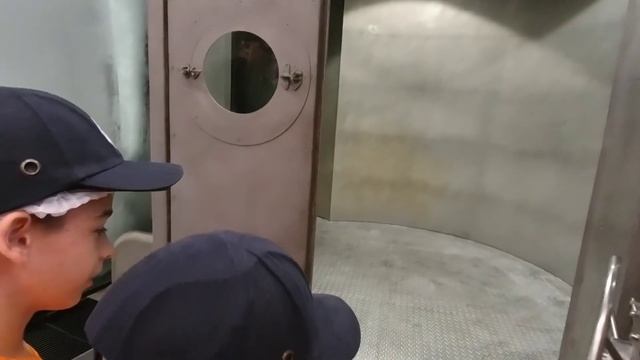 Москва Парк "ЗАРЯДЬЕ" | Стеклянная кора, Парящий мост, Ледяная пещера, Флорариум.