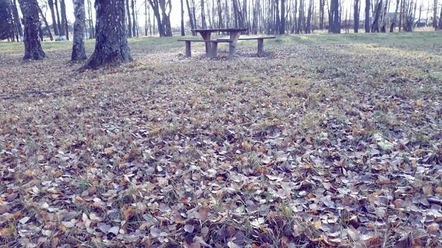 Осень.Ермишь