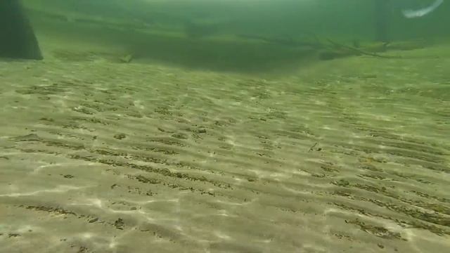 Майнское водохранилище в конце марта смотреть онлайн