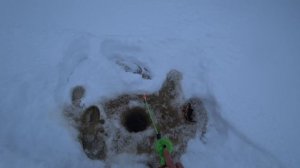 ?Живу Один в Таёжной Избушке.Зимняя Рыбалка на Жерлицы.Быт В Лесной Избе.Ближний Кордон