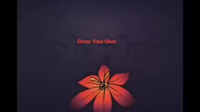 Polyploid - Unlimited Weapons смотреть онлайн