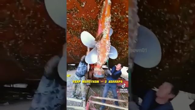 твой опыт, твоя жизнь и твой круг друзей!