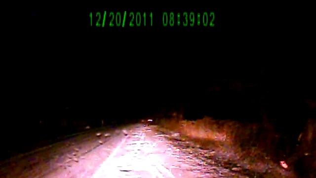 REC 2466 смотреть онлайн