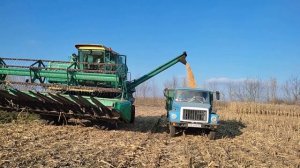 Уборка кукурузи 2021. Зерновой жаткой Дон 1500 Б