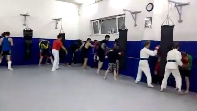 Семинар Упр для защиты у стенки смотреть онлайн