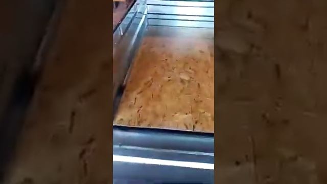 видеоотзыв о прицепе Титан из г. Златоуст