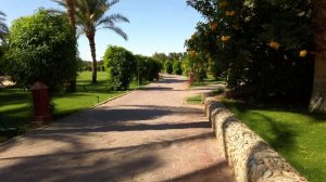 Египет 2023. Отель Fort Arabesque Resort, Makadi Bay. Пляж, море, подводный мир, сноркелинг