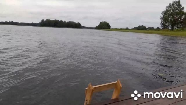 Метим Территорию ??❤️? смотреть онлайн