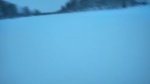 крайний север республика коми ижемский район замело снега в лесу по коле за два дня 14 4.01.2023 г