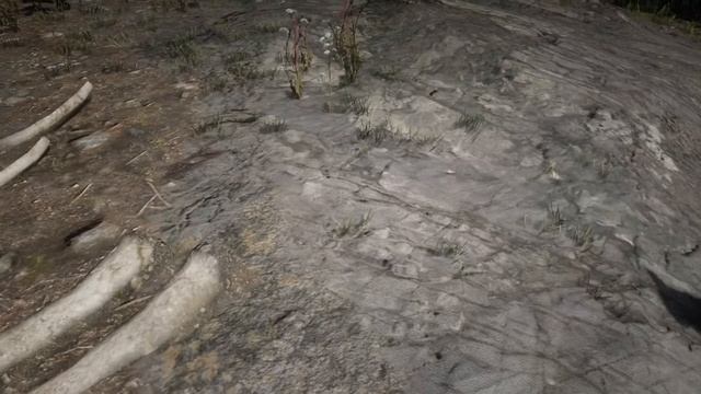 Whale Bones Скелет кита смотреть онлайн