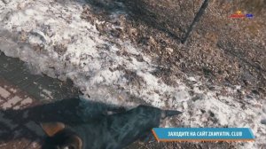 Растём Гуляем Лаем и кусаемся Мой щенок Немецкая овчарка