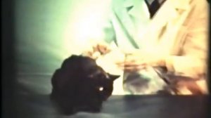 Антидепрессанты, депрессия © Antidepressants, Depression