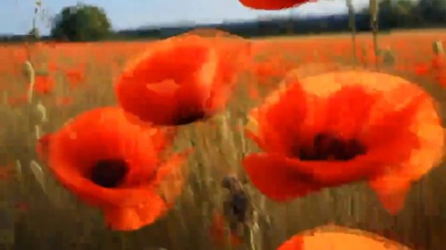 Мантра гармонии и равновесия! смотреть онлайн