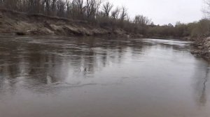 19.04.23 На реке Медведица. Волгоградской обл.