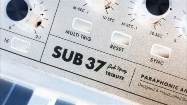 Wake up an Android (Moog Sub 37 Demo music) смотреть онлайн