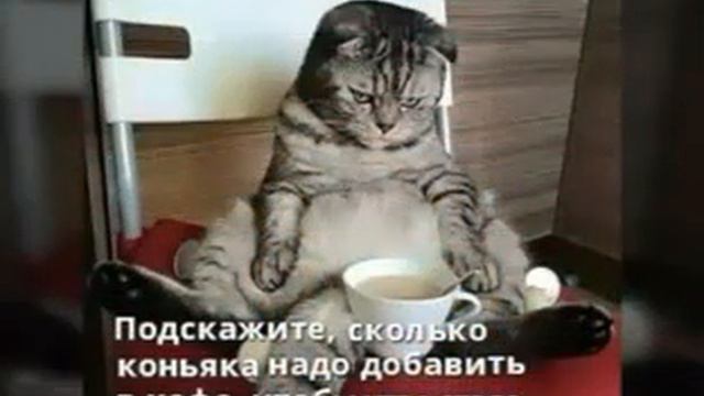 400010529-LP Воскресного сладкого утра (1.31) смотреть онлайн