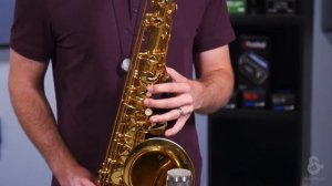 Effects for the Horn Player - MXR M169 Carbon Copy Analog Delay