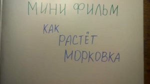 Как растёт морковь