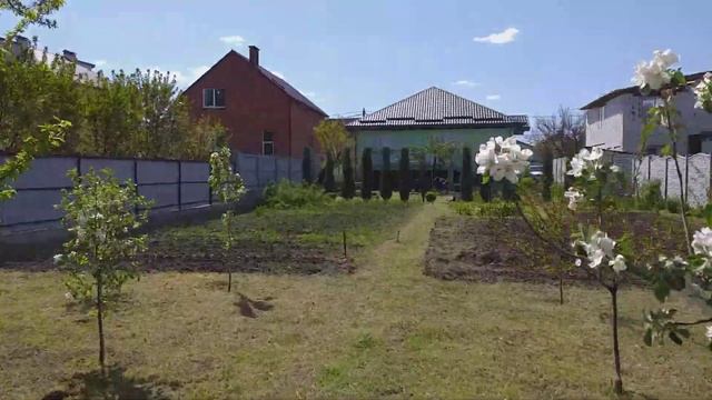 Мой сад,березы и плодовые деревья. смотреть онлайн