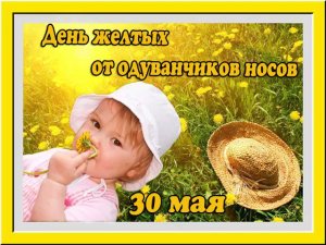 День желтых носов одуванчиков.mp4