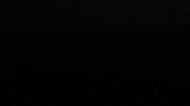 Музыка полезна для нервов - Музыка природы и животных «Карибы» помогает исцелить душу смотреть онлайн