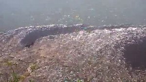 Ужасы майкопских очистных сооружений