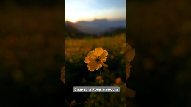БАРТЕРНАЯ ДОСКА 1.Меняем товары на голоса 2.Меняем голоса на товары