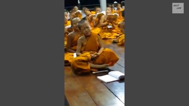 #прикол #ржака #смешныедети ржачь смешные дети Funny Video