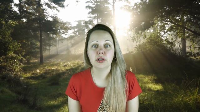 Что можно получить от курицы? Анекдот про Вовочку. смотреть онлайн