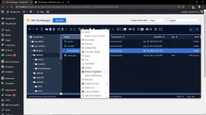 How To Use File Manager In WordPress?