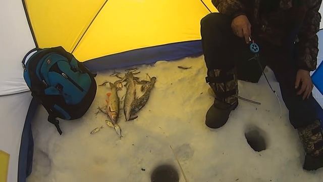 ЗИМНЯЯ РЫБАЛКА! ЧУДО ЧЕРТ+ ЖЕРЛИЦЫ. смотреть онлайн