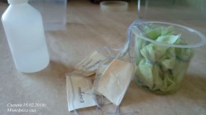 2. Замачивание семян в перекиси водорода. Подготовка грунта под посадку