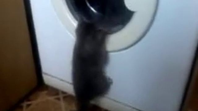 Большая стирка