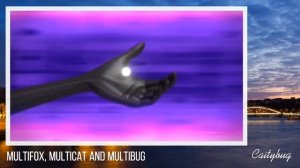 All Miraculous transformations (has been updated - link in desc)