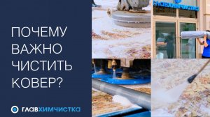 Профессиональная чистка ковров в Главхимчистке. Зачем чистить ковер? Как чистят ковер?