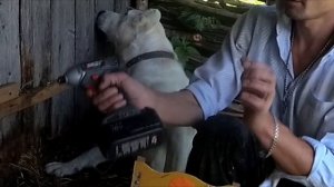 Самодельный пресс для сыра