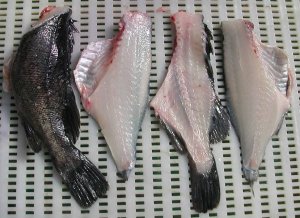 Автоматическая филетировочная линия CHHT-300/CHFG-350 (пр-во Ю.Корея) (ООО "Владфризинг")