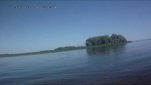 Ловля поверхностного хищника с берега на спиннинг. 2018