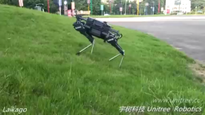 Робот-собака от китайцев