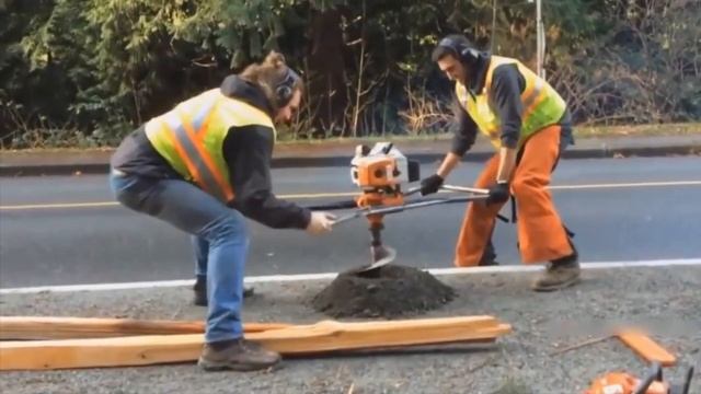 Дальнобойщик Угостил Ворону Пирожком!Это фиаско,братан! смотреть онлайн