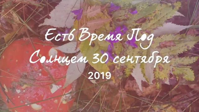 Есть время под солнцем — цветы и природа смотреть онлайн