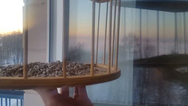 Кормушка для птиц на окно часть 2 смотреть онлайн