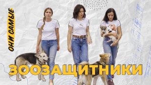 Как в Белгороде спасают бездомных собак: история одного приюта