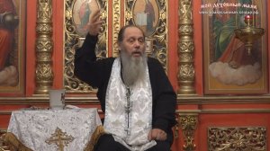 Как относиться к родам в домашних условиях в наше время? (прот. Владимир Головин)