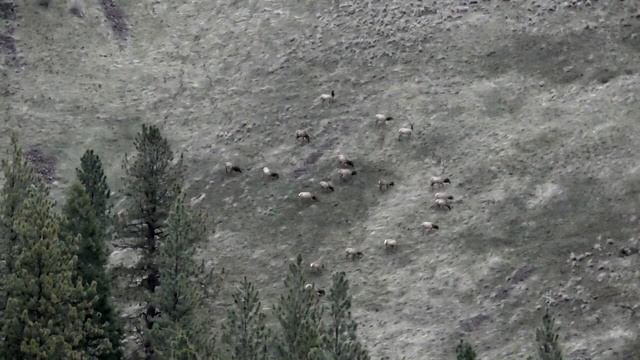 Panasonic HC V380 Camcorder Review & Test footage - zoom, outdoor, low light смотреть онлайн