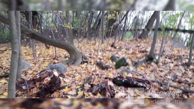 Fort 45a "Bibice". Форт 45а "Бибице". Bateria sprzezona 45a Zachodnia. Батарея пристроенная 45а. смотреть онлайн