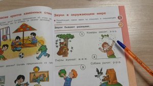 Звуки в окружающем мире